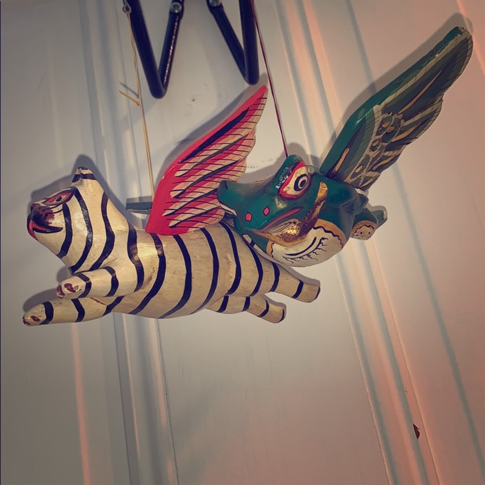 Flying cat and frog